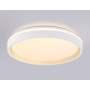 FZ607 WH/GD белый/золото IP20 66W 3000K-6500K+RGB D490*85 (ПДУ ИК)