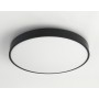 FZ1204 BK черный IP54 11W 5000K D210*60 (без ПДУ)