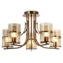 Потолочная люстра TR3222/5 GD/TI Ambrella light