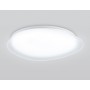 FZ1605 FR матовый IP20 60W 5000K 510*100 (Без ПДУ)