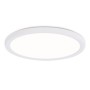 FZ1907 WH белый IP54 35W 3000K-6500K CCT-переключатель D450*25 (Без ПДУ)
