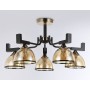 Потолочная люстра TR9099/5 BK/GD/TI Ambrella light