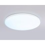 FZ2001 WH белый IP54 20W 3000K-6500K+RGB Wi-Fi Алиса/Tuya/Smart Home/Alexa D300*55 (ПДУ ИК)