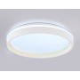 FZ607 WH/GD белый/золото IP20 66W 3000K-6500K+RGB D490*85 (ПДУ ИК)