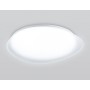 FZ1605 FR матовый IP20 60W 5000K 510*100 (Без ПДУ)