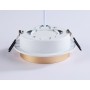 TN5226 WH/GD белый/золото GX53 max 12W D110*35