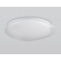 FZ1605 FR матовый IP20 60W 5000K 510*100 (Без ПДУ)