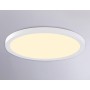 FZ1907 WH белый IP54 35W 3000K-6500K CCT-переключатель D450*25 (Без ПДУ)