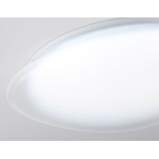 FZ1605 FR матовый IP20 60W 5000K 510*100 (Без ПДУ)