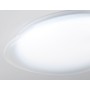 FZ1605 FR матовый IP20 60W 5000K 510*100 (Без ПДУ)