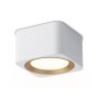 TN70831 WH/GD белый/золото GX53 max 12W 96*96*60