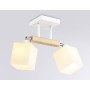 Потолочная светильник TR9511/2 WH/CH/FR Ambrella light