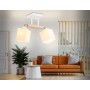 Потолочная светильник TR9511/2 WH/CH/FR Ambrella light