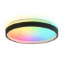 FZ610 BK/GD черный/золото IP20 66W 3000K-6500K+RGB D490*85 (ПДУ ИК)