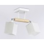 Потолочная светильник TR9511/2 WH/CH/FR Ambrella light