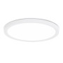 FZ1909 WH белый IP54 44W 3000K-6500K CCT-переключатель D600*25 (Без ПДУ)