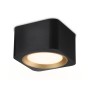 TN70832 BK/GD черный/золото GX53 max 12W 96*96*60