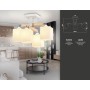 Потолочная люстра TR9512/4 WH/CH/FR Ambrella light