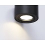 TN223 SBK черный песок GU5.3 D80*50
