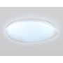 FZ1615 FR матовый IP20 60W 3000-6500K+RGB 510*100 (ПДУ ИК)
