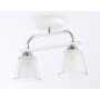 TR303229/2 WH/CH/CL/FR белый/хром/прозрачный/белый матовый E27*2 max 60W 340*120*250