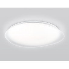 FZ1615 FR матовый IP20 60W 3000-6500K+RGB 510*100 (ПДУ ИК)