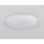 FZ1615 FR матовый IP20 60W 3000-6500K+RGB 510*100 (ПДУ ИК)