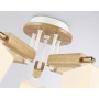 Потолочная люстра TR9518/5 WH/GD/FR Ambrella light