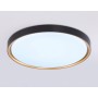 FZ1249 BK/GD черный/золото IP54 45W 5000K D480*60 (Без ПДУ)