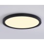 FZ1910 BK черный IP54 44W 3000K-6500K CCT-переключатель D600*25 (Без ПДУ)