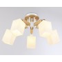 Потолочная люстра TR9518/5 WH/GD/FR Ambrella light