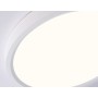 FZ1901 WH белый IP54 13W 3000K-6500K CCT-переключатель D230*25 (Без ПДУ)