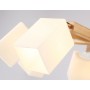 Потолочная люстра TR9522/8 WH/GD/FR Ambrella light