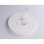 FZ1901 WH белый IP54 13W 3000K-6500K CCT-переключатель D230*25 (Без ПДУ)