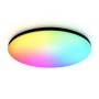 FZ2005 BK черный IP54 25W 3000K-6500K+RGB Wi-Fi Алиса/Tuya/Smart Home/Alexa D370*55 (ПДУ ИК)
