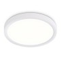 FZ1901 WH белый IP54 13W 3000K-6500K CCT-переключатель D230*25 (Без ПДУ)