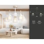 Потолочная люстра TR8012/5 WH Ambrella light