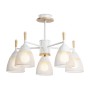 Потолочная люстра TR8012/5 WH Ambrella light