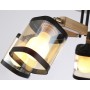 Потолочная люстра TR9529/5 BK/GD/TI Ambrella light