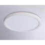 FZ1903 WH белый IP54 20W 3000K-6500K CCT-переключатель D300*25 (Без ПДУ)