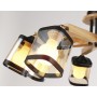 Потолочная люстра TR9530/8 BK/GD/TI Ambrella light