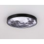 FW11110 BK черный 15W LED 3000-6400K D240*38