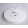 FZ1903 WH белый IP54 20W 3000K-6500K CCT-переключатель D300*25 (Без ПДУ)