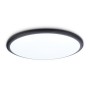 FZ1235 BK черный IP44 48W 6400К D450*55 (Без ПДУ)