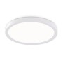 FZ1903 WH белый IP54 20W 3000K-6500K CCT-переключатель D300*25 (Без ПДУ)