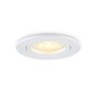 TN102450 WH белый GU5.3 D85*28