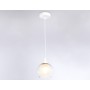 Подвесной светильник TR3538 WH/CL/FR Ambrella light