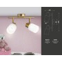 Настенно-потолочный спот TR3969/2 BS/FR латунь/белый матовый