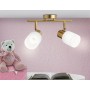 Настенно-потолочный спот TR3969/2 BS/FR латунь/белый матовый
