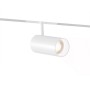 GL4420 WH белый IP20 15W 3CCT 3000-6000K SMART 48V 24° D55*120